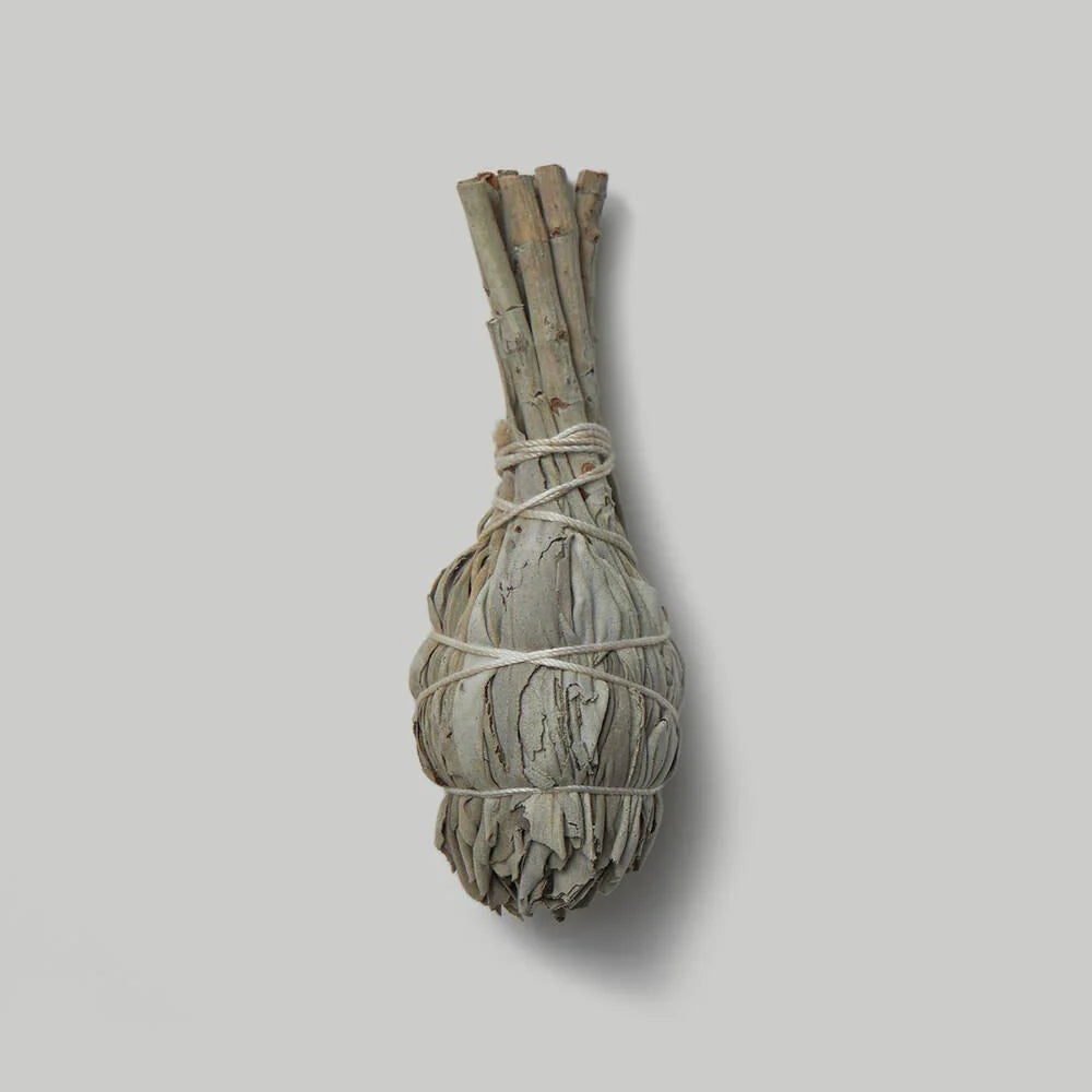 Wild White Sage