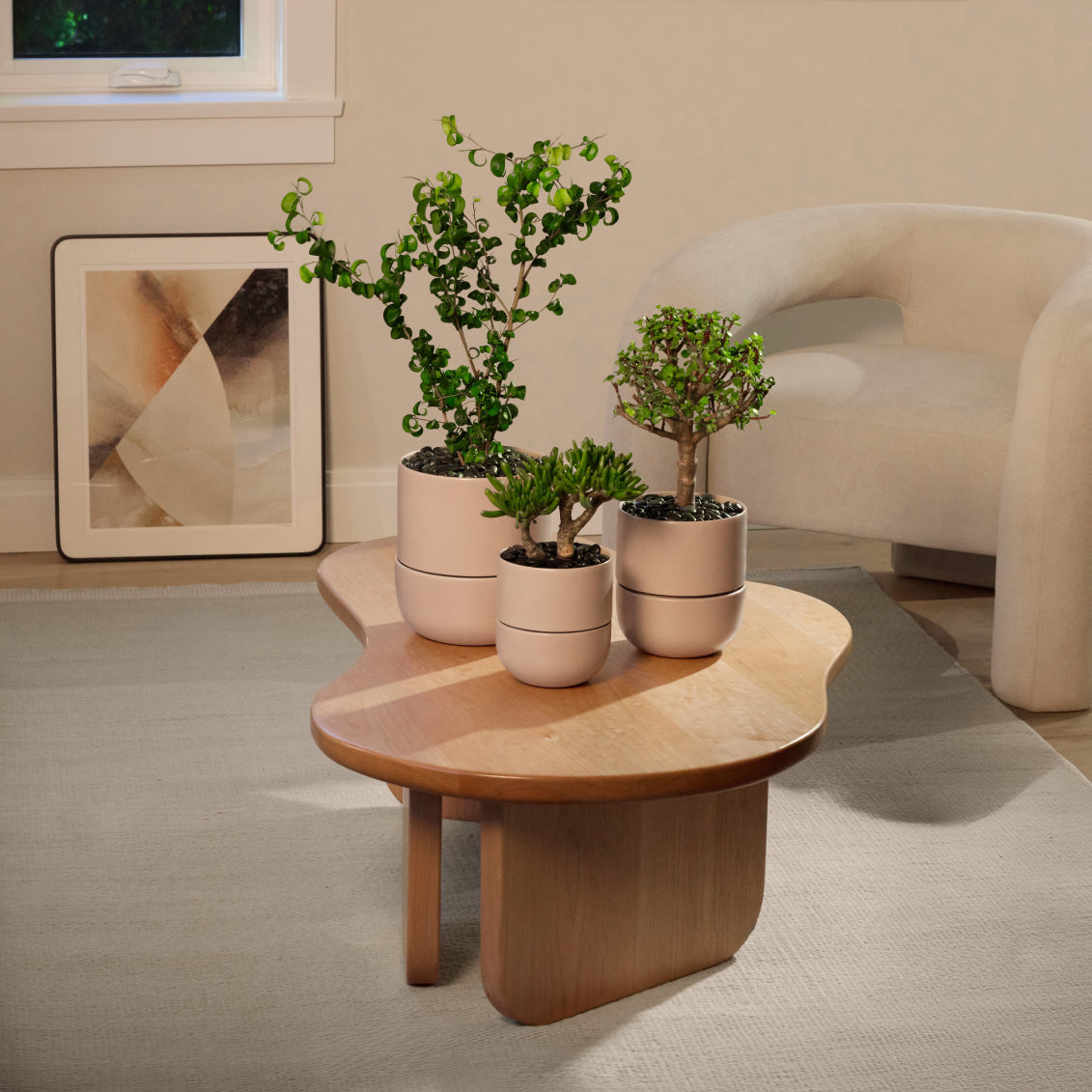 Ceramic Indoor Planters