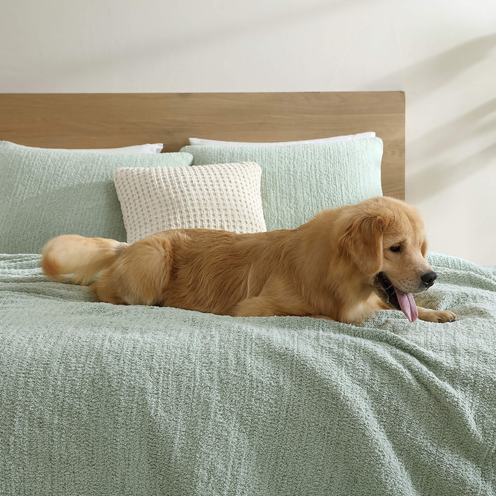 Snug + Bamboo Sham Set