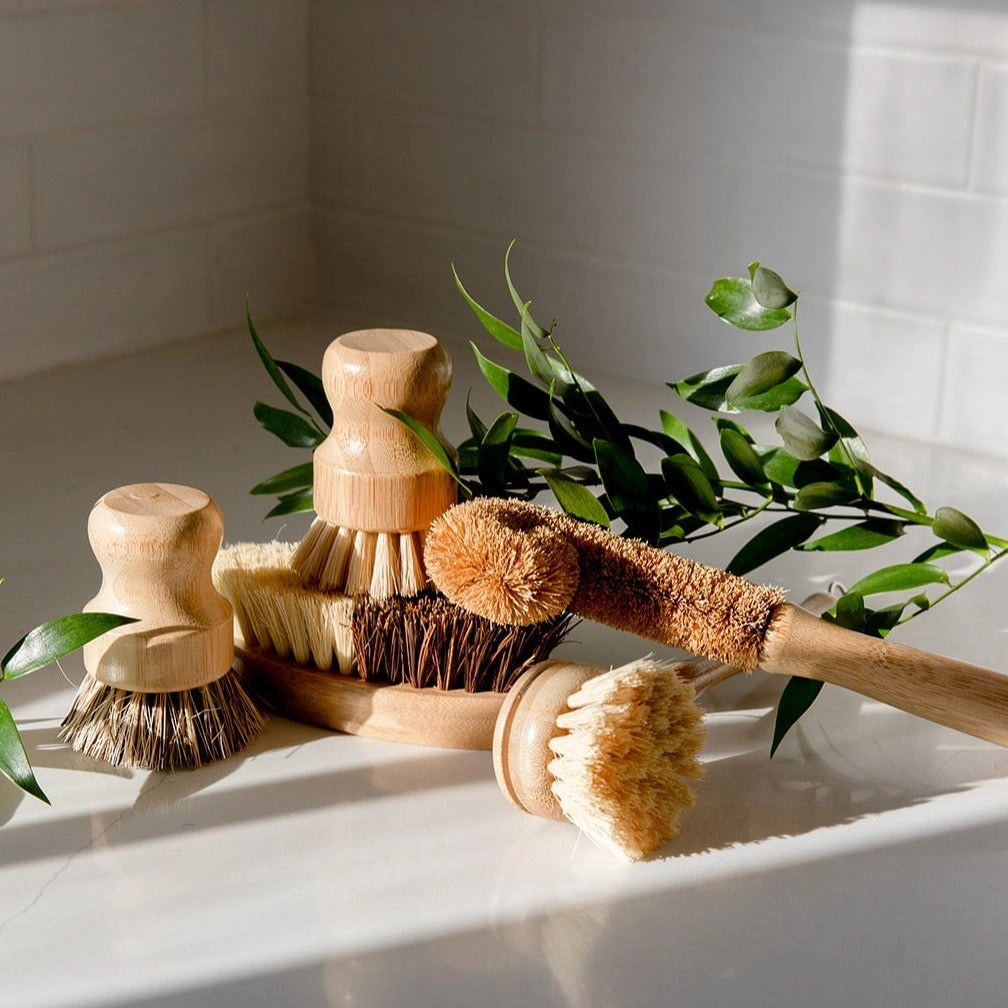 Zero Waste Dish Brush Kit Bundle