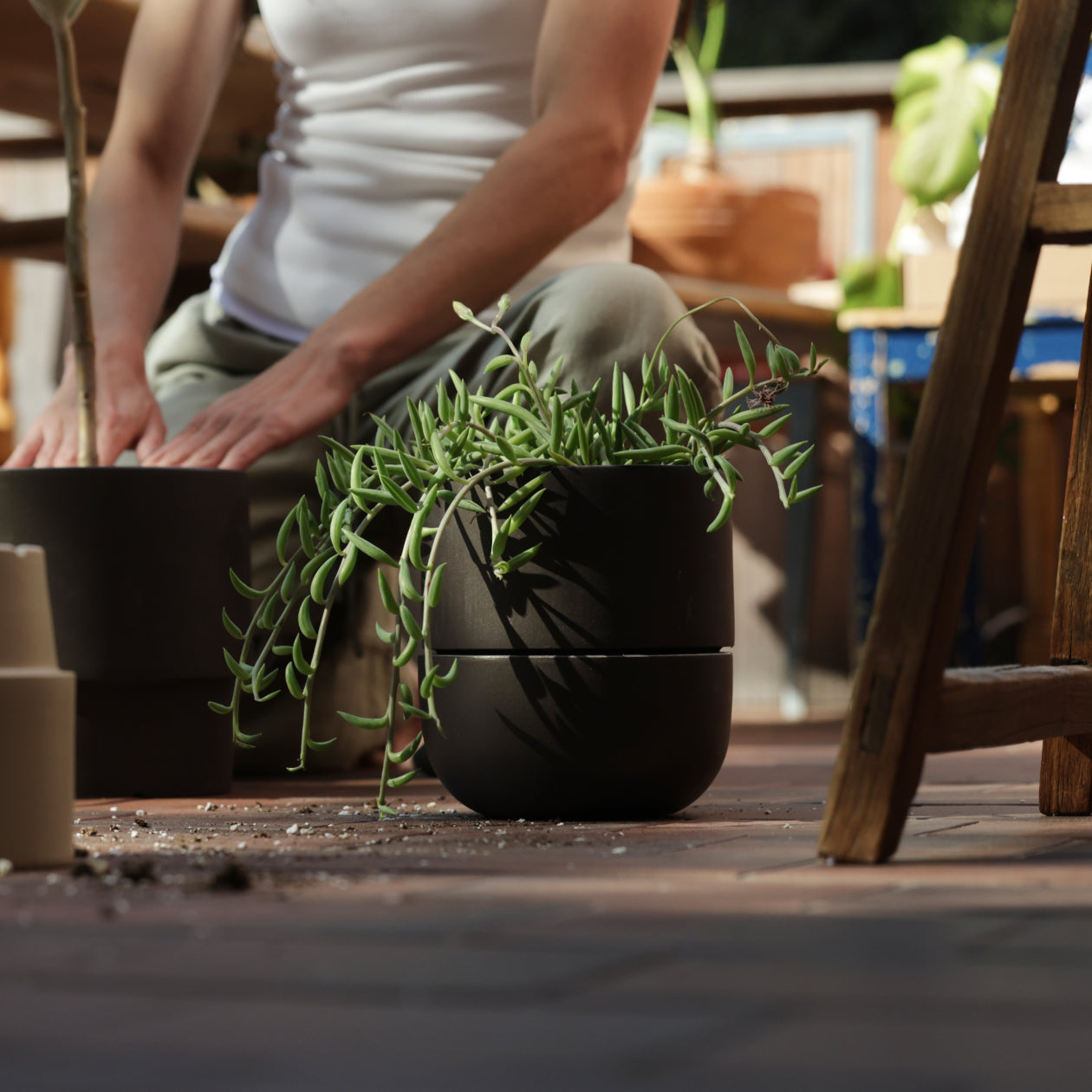 Ceramic Indoor Planters