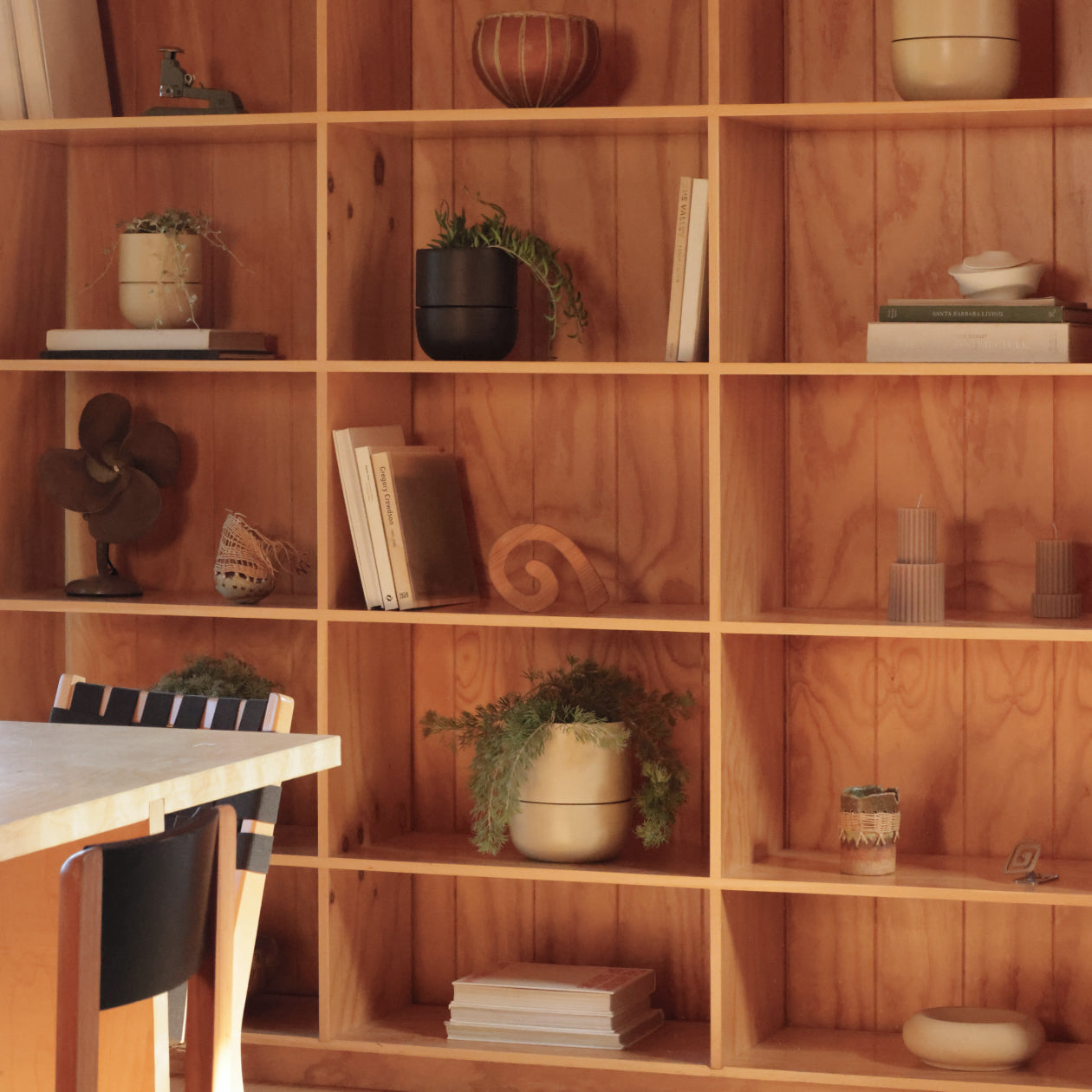 Ceramic Indoor Planters