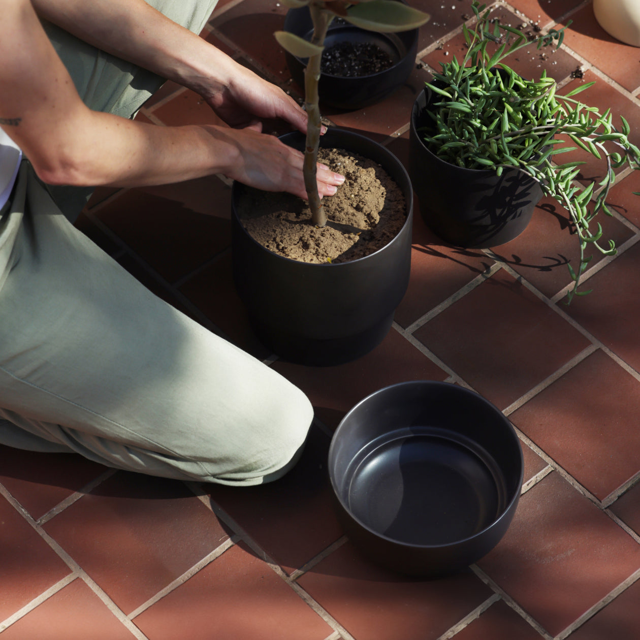 Ceramic Indoor Planters