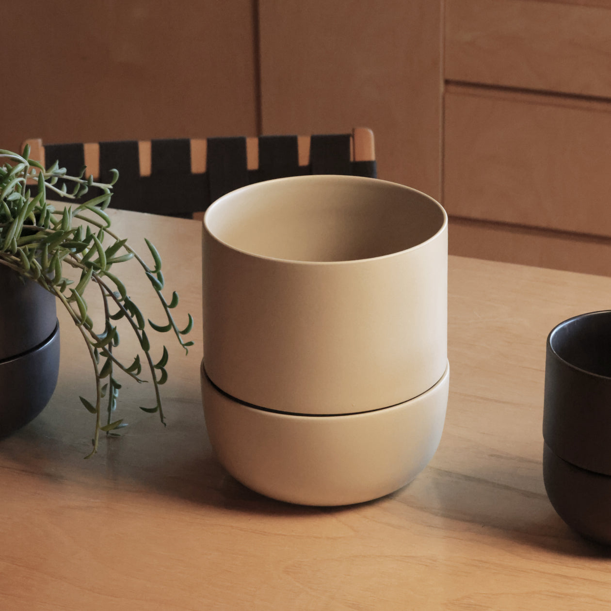 Ceramic Indoor Planters