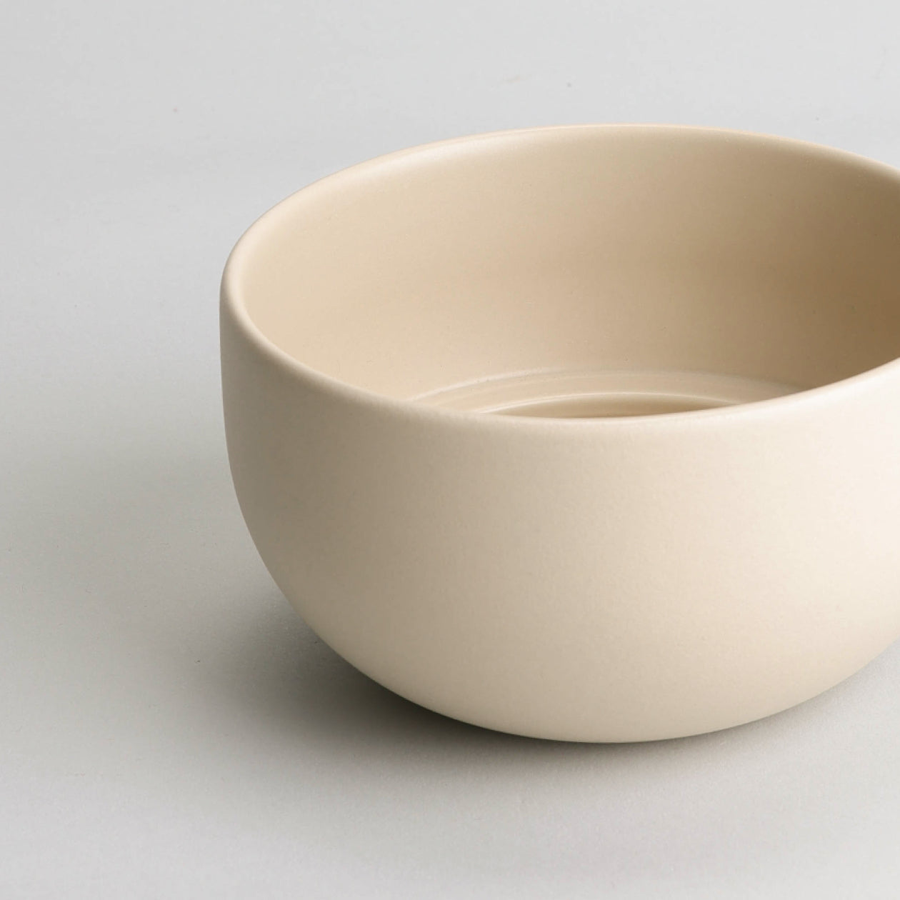 Ceramic Indoor Planters