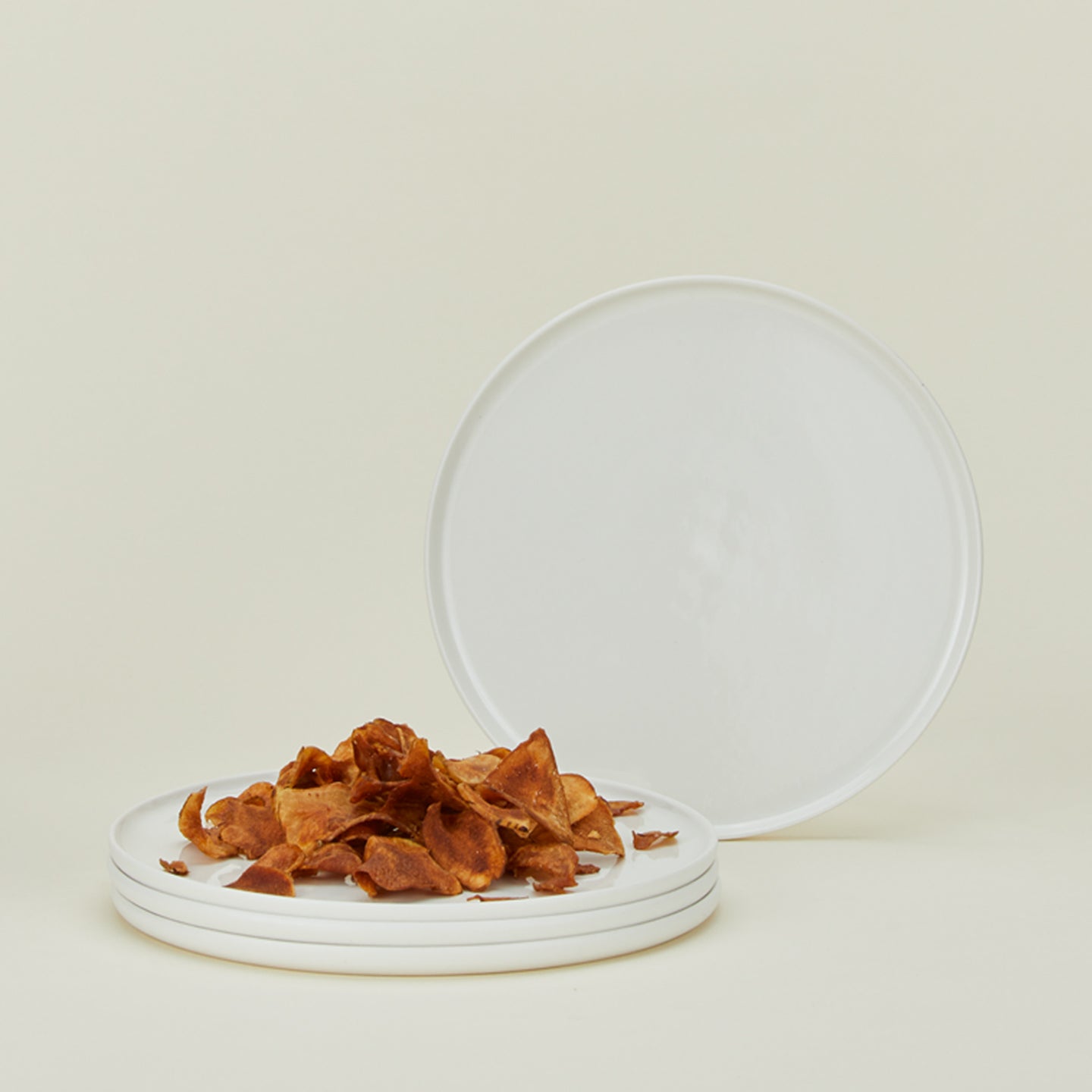 Simple Porcelain Salad Plate - Set of 4