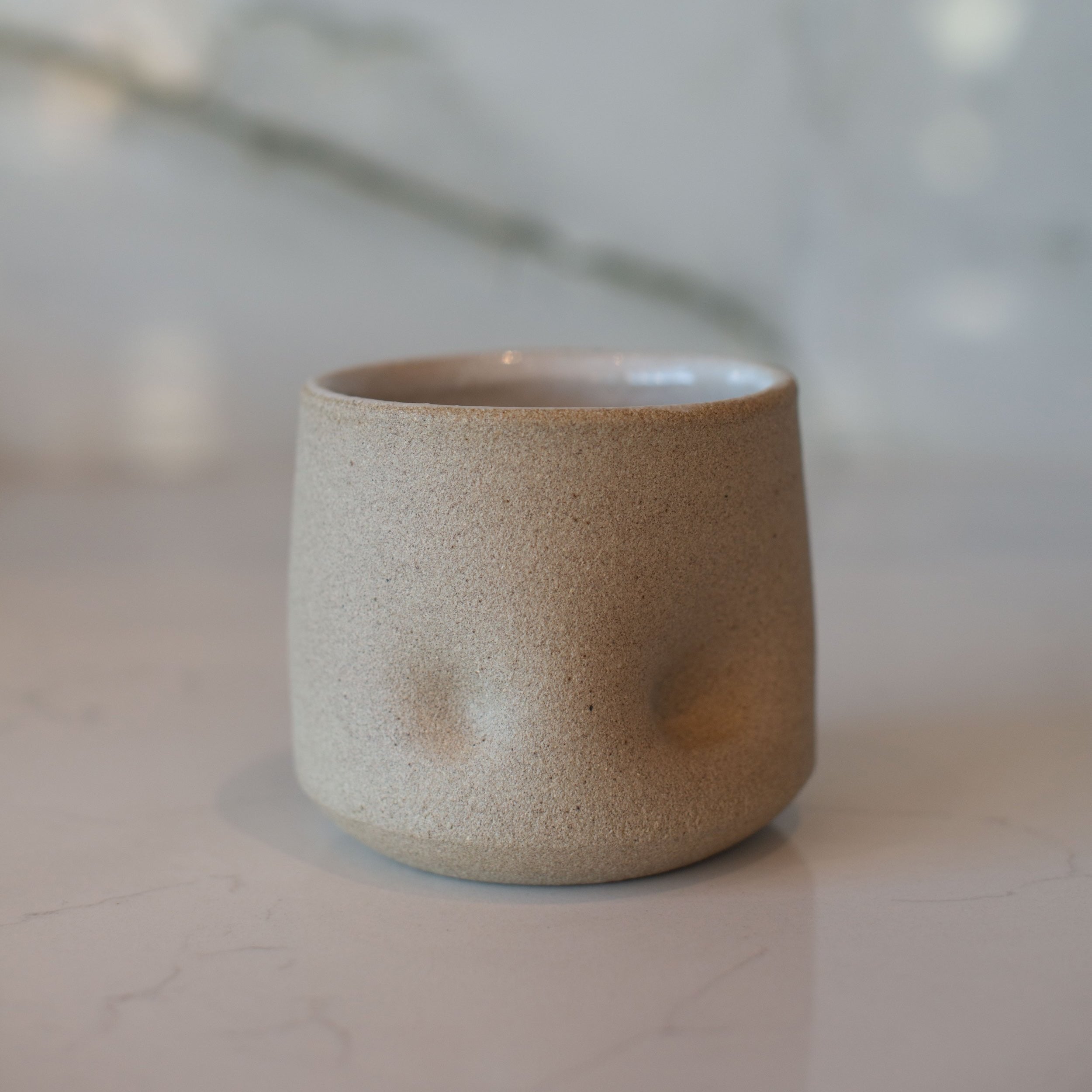 Wanda Matcha Set Bundle