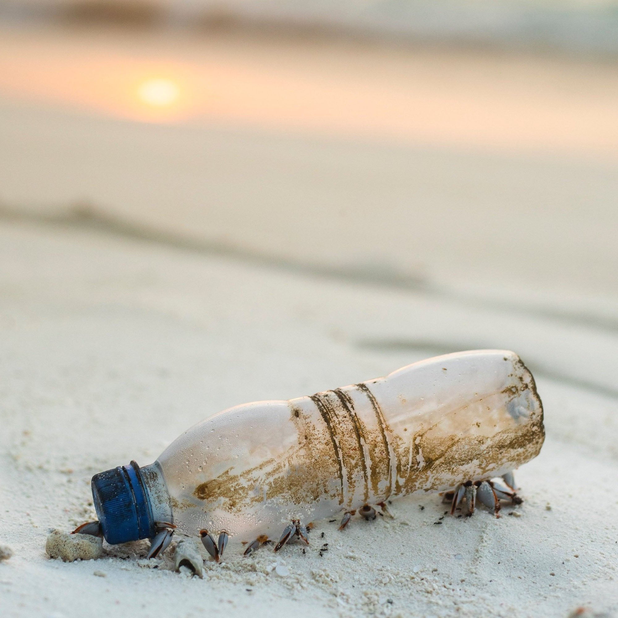 The Plastic Problem & What We Can Do About It As Consumers