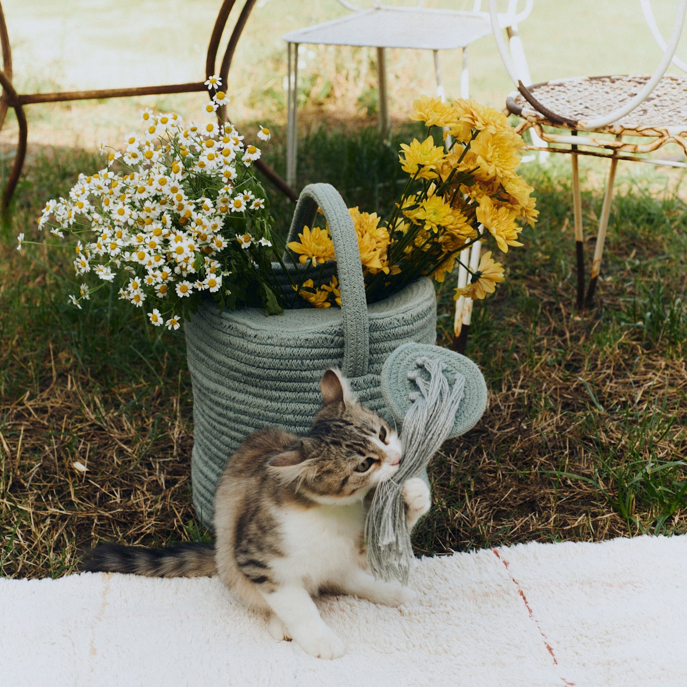 Water Can Basket