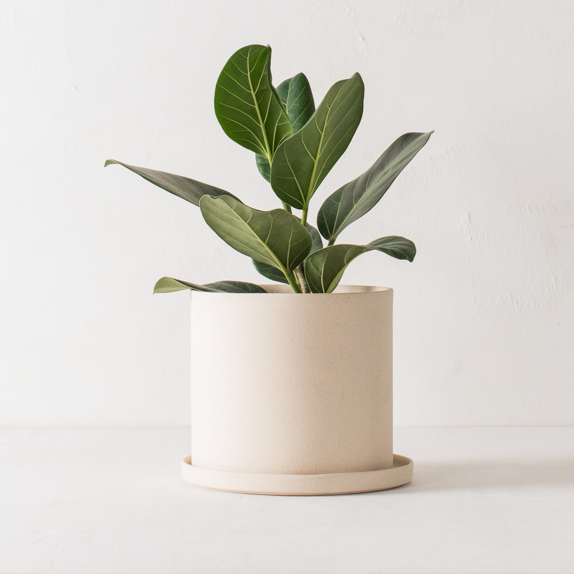 8" Minimal Planter | Raw Stoneware