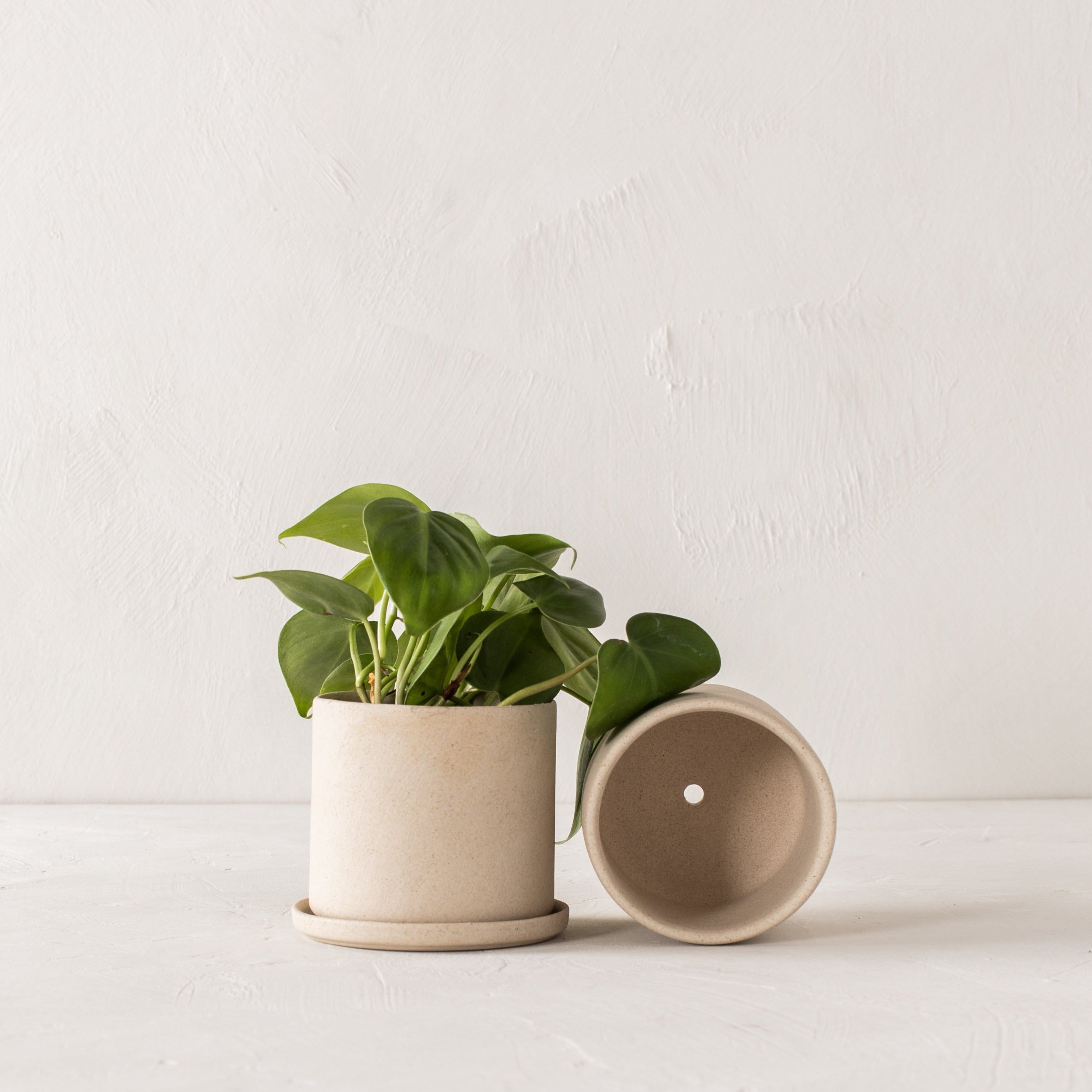 4" Minimal Planter | Raw Stoneware