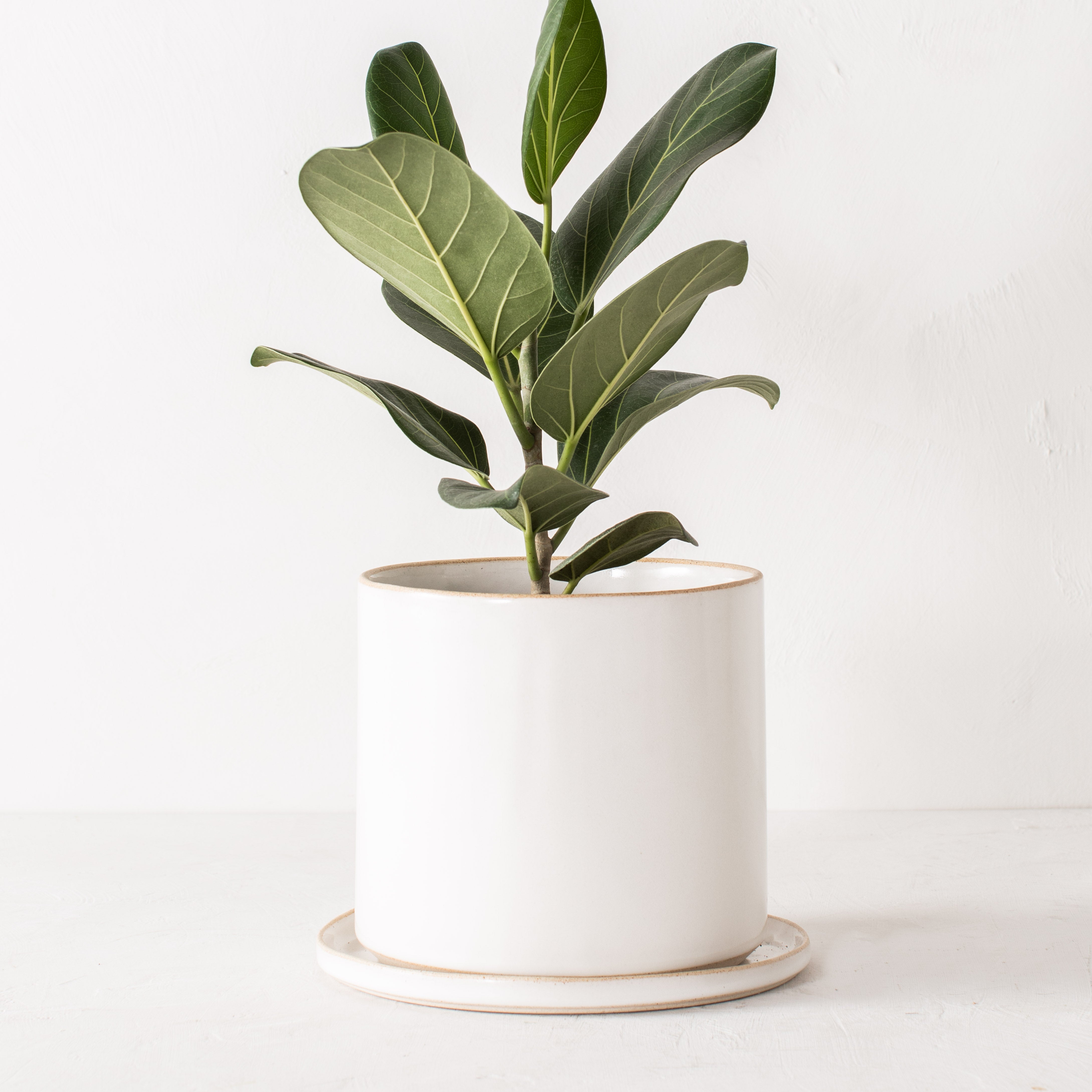 8" Minimal Planter | Stoneware