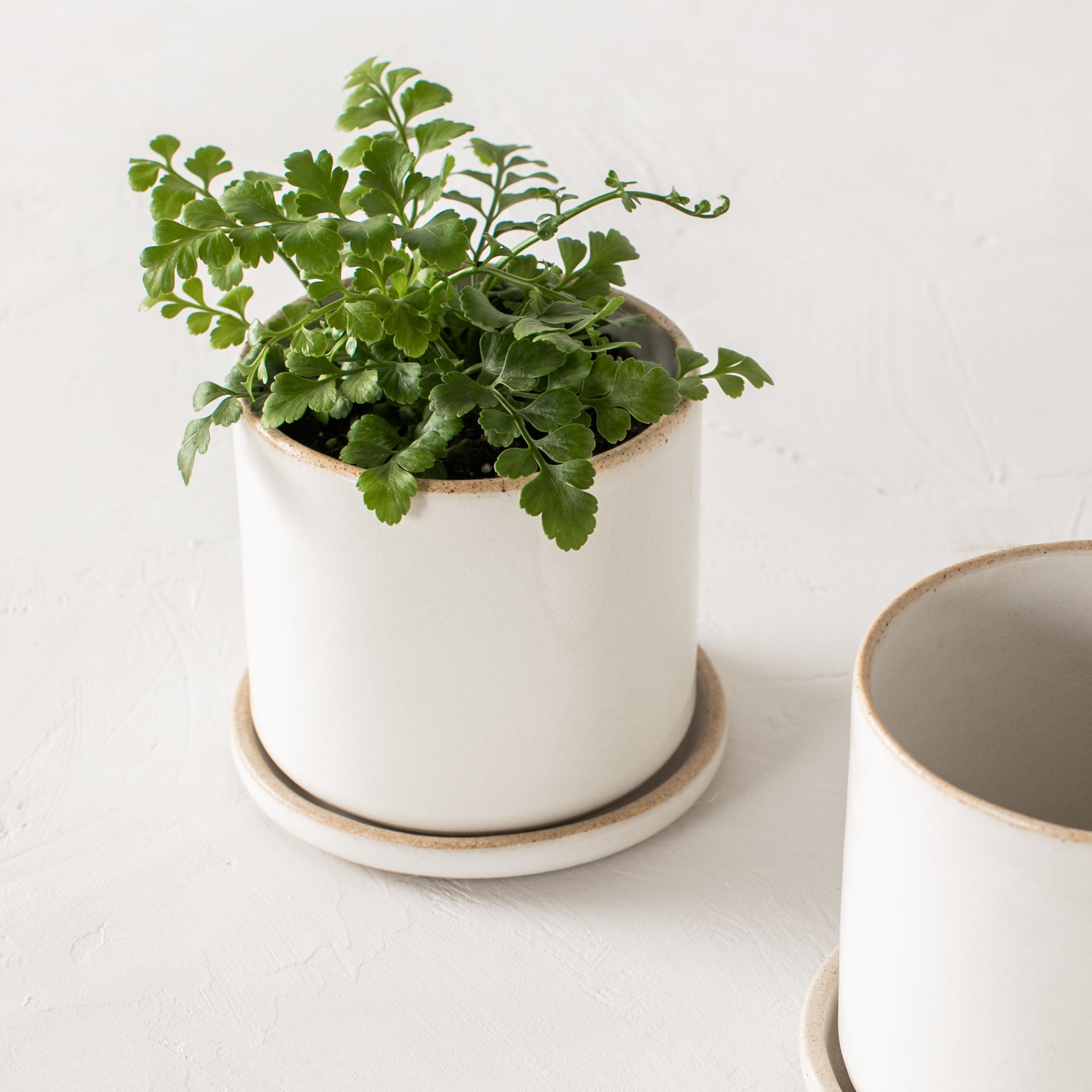 4" Minimal Planter | Stoneware