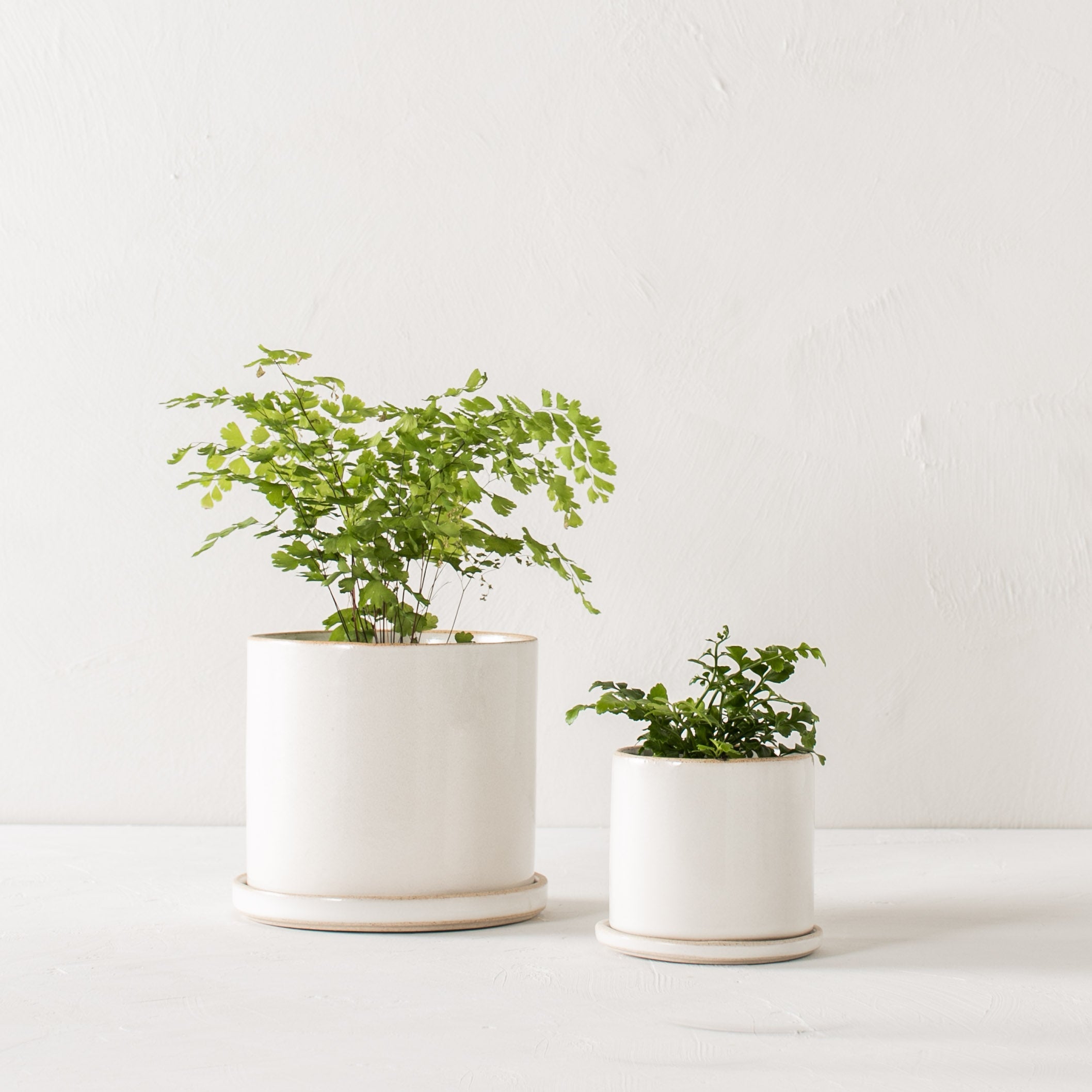 6" Minimal Planter | Stoneware