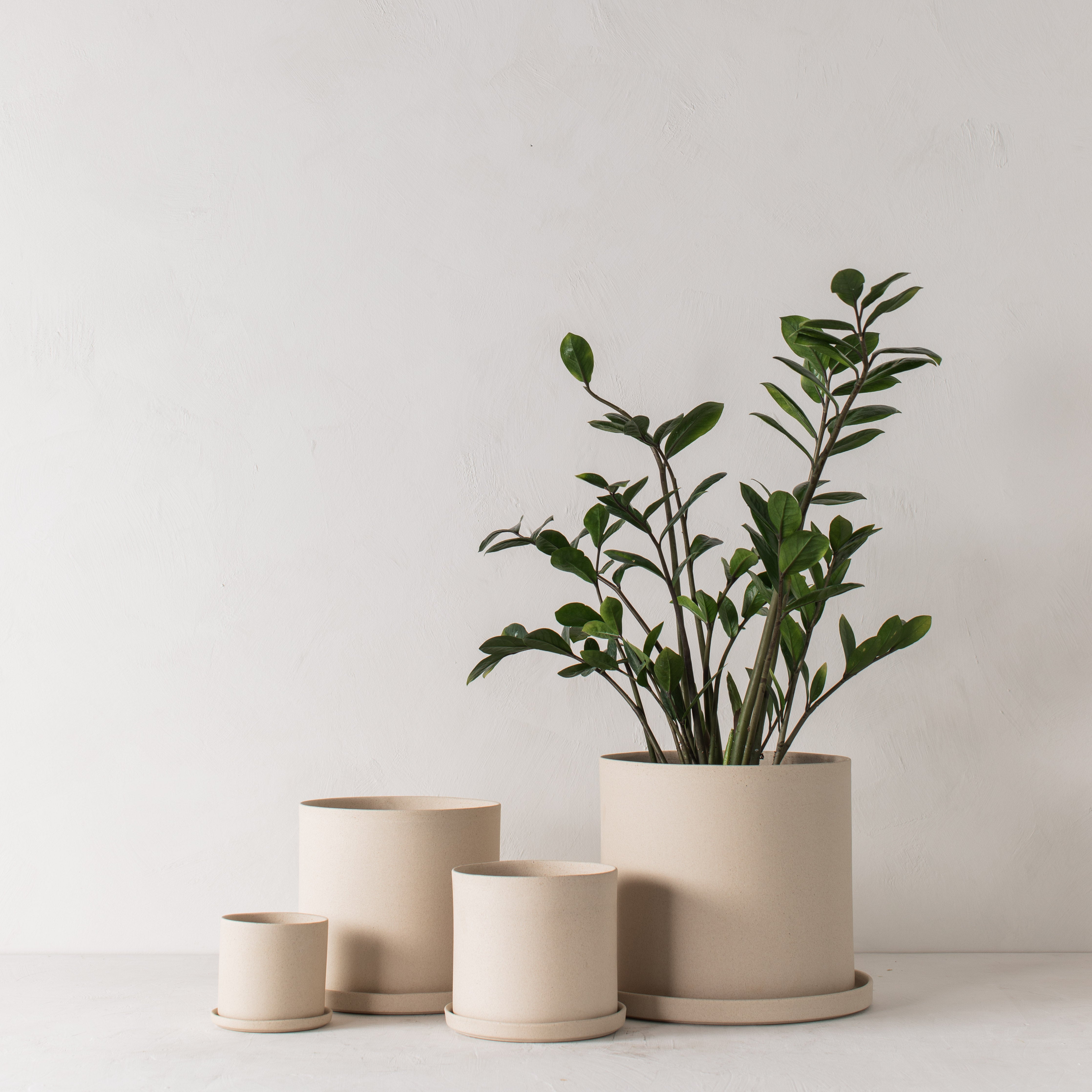 8" Minimal Planter | Raw Stoneware