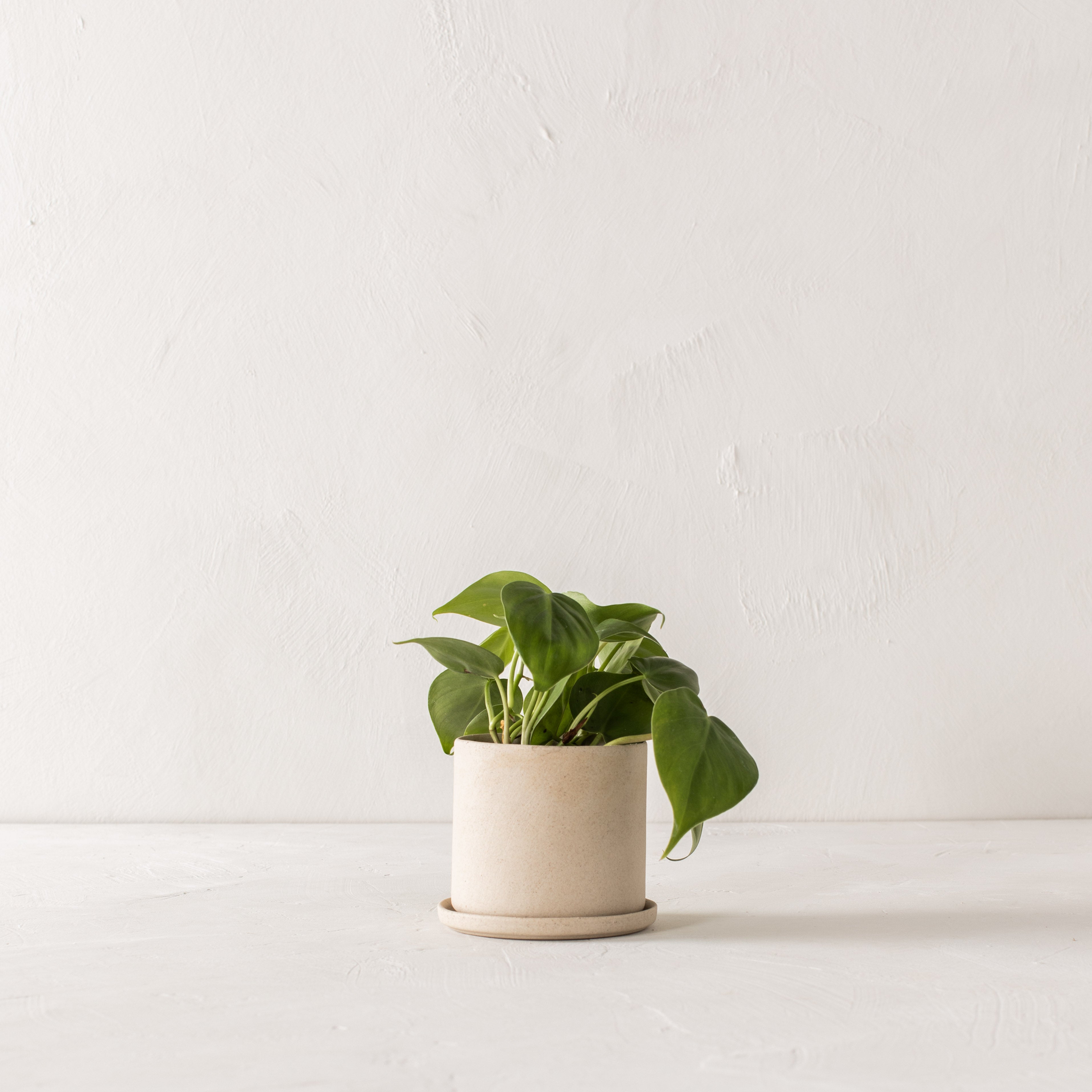 4" Minimal Planter | Raw Stoneware