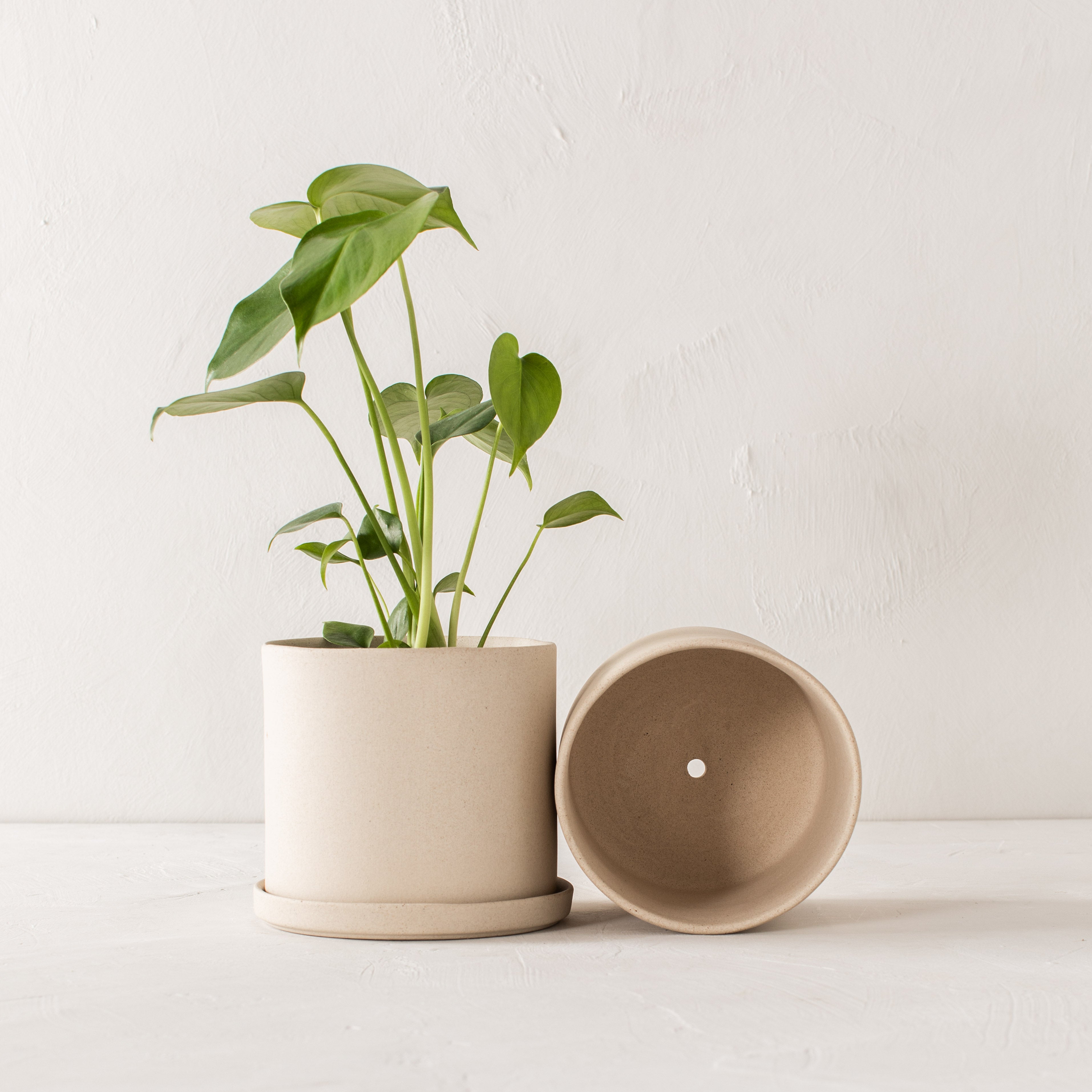 6" Minimal Planter | Raw Stoneware