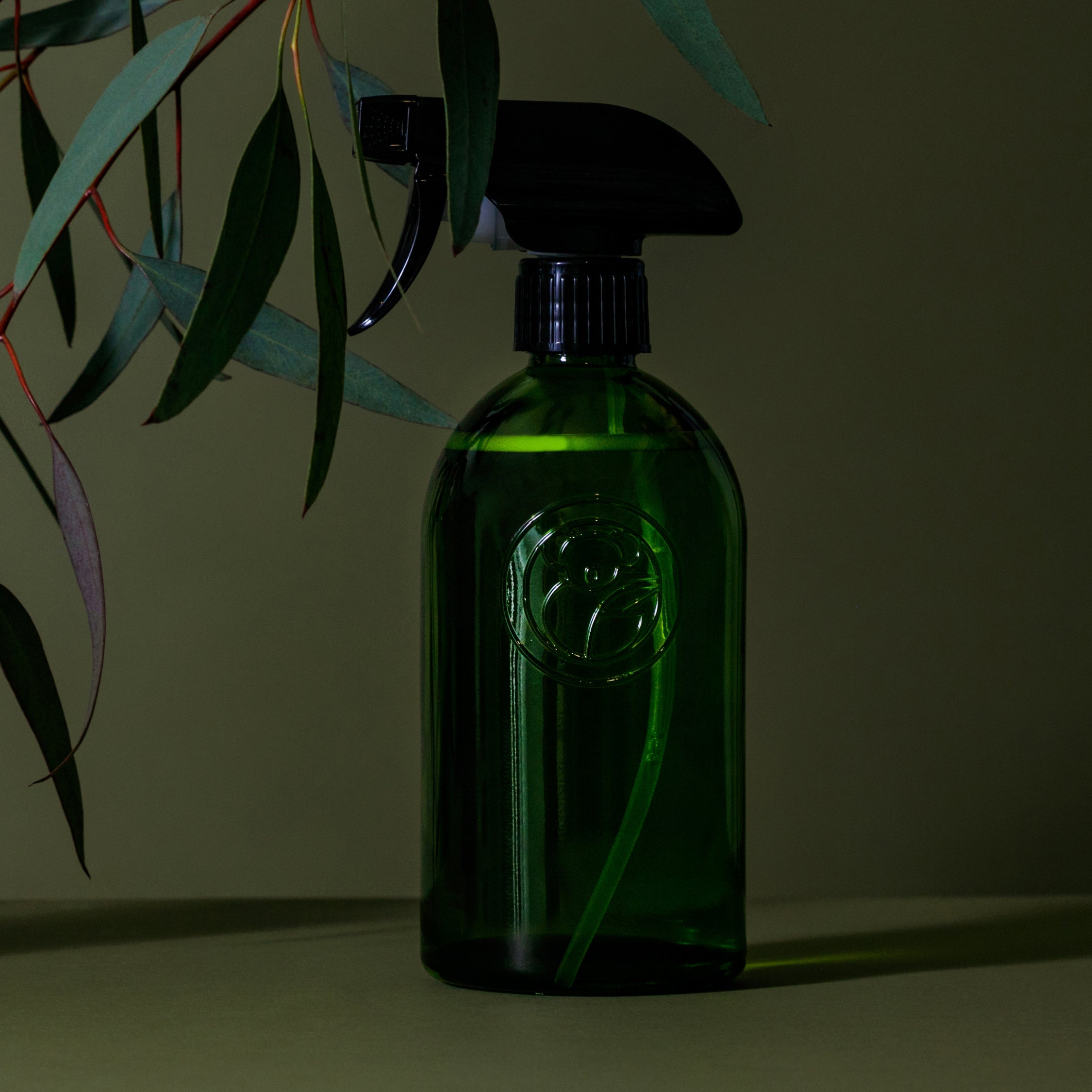 Apothecary Glass Bottle with Spray Trigger