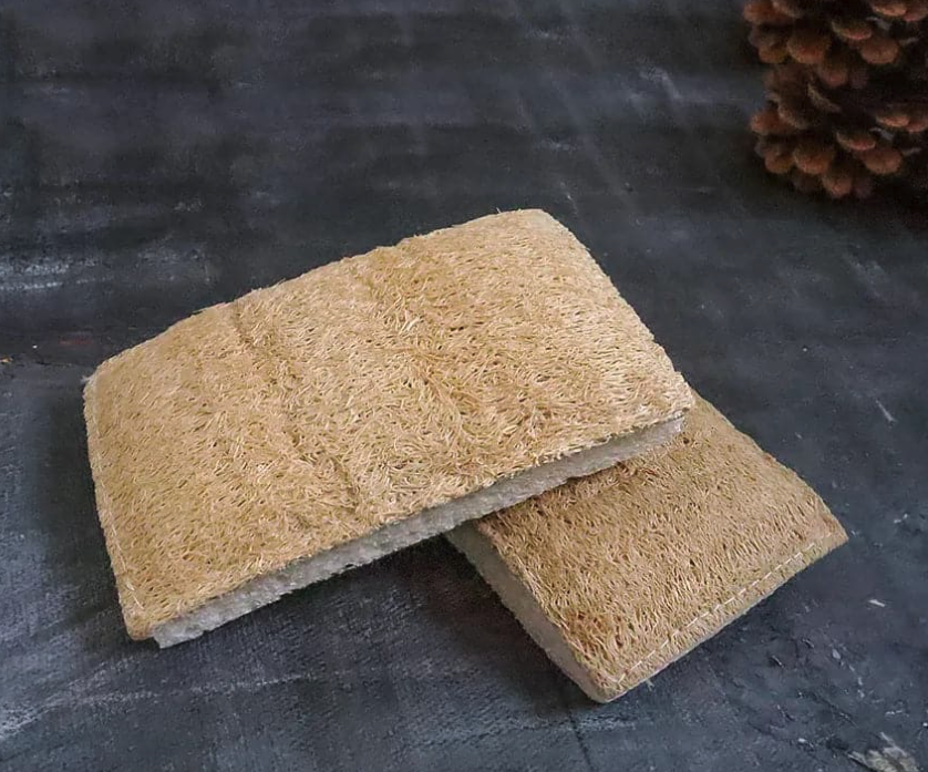 Eco Sponge, Set of 2