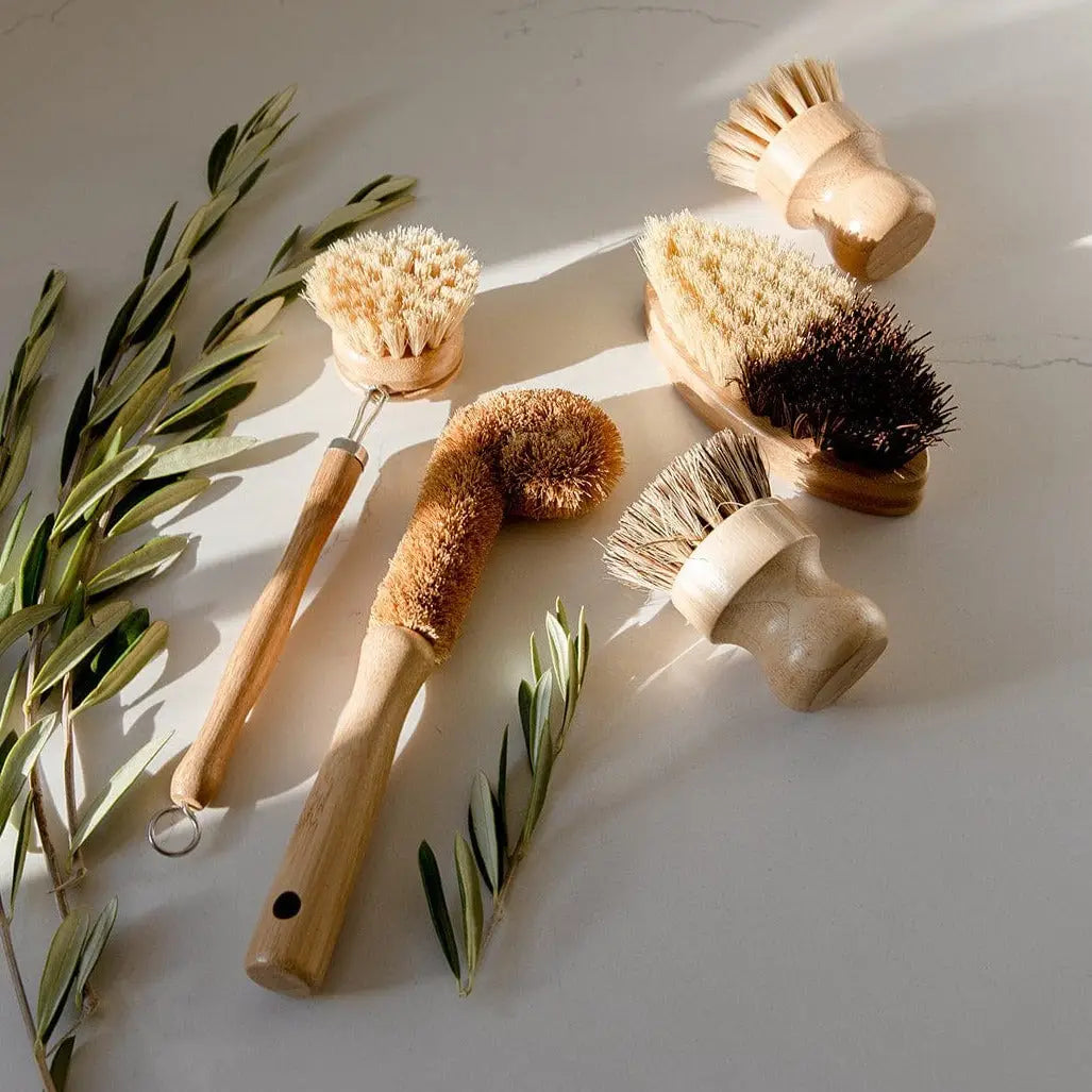 Zero Waste Dish Brush Kit Bundle