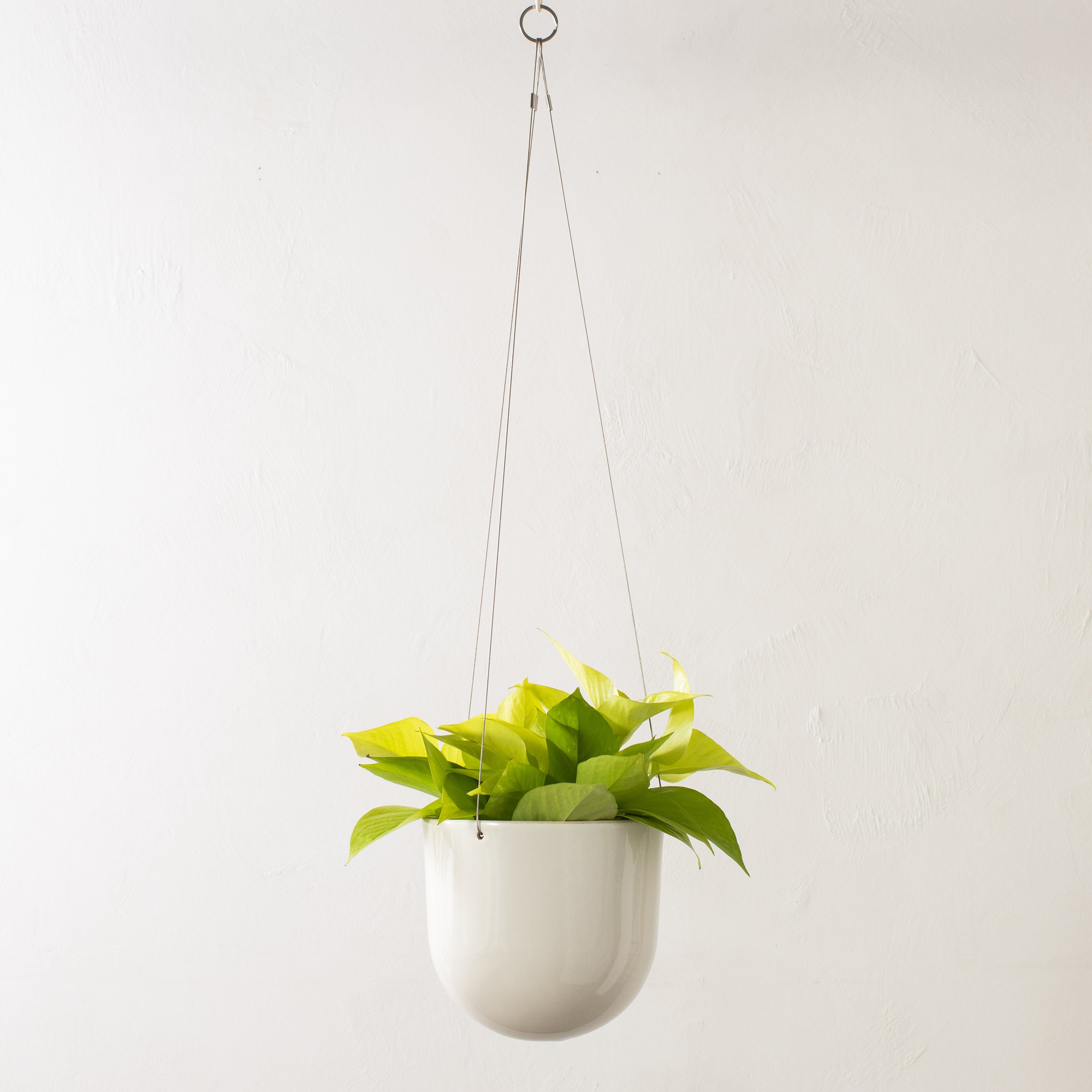 Arched Hanging Planter No. 2 | Stoneware