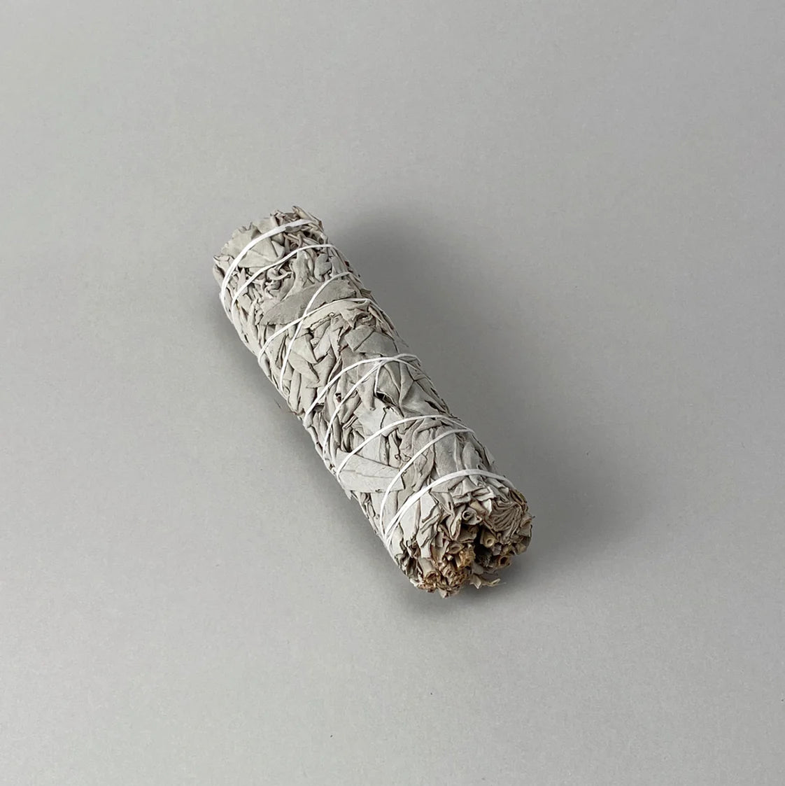 Wild White Sage