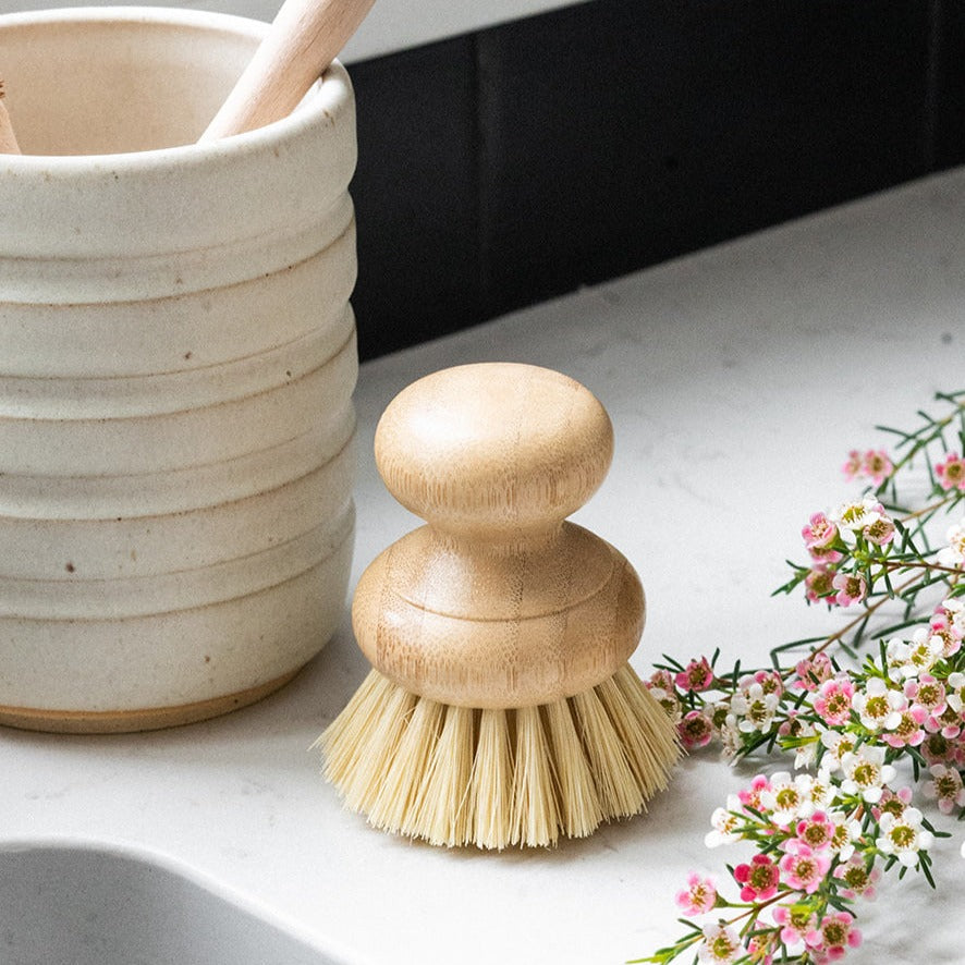 Dishwashing and Vegetable Hand Brush