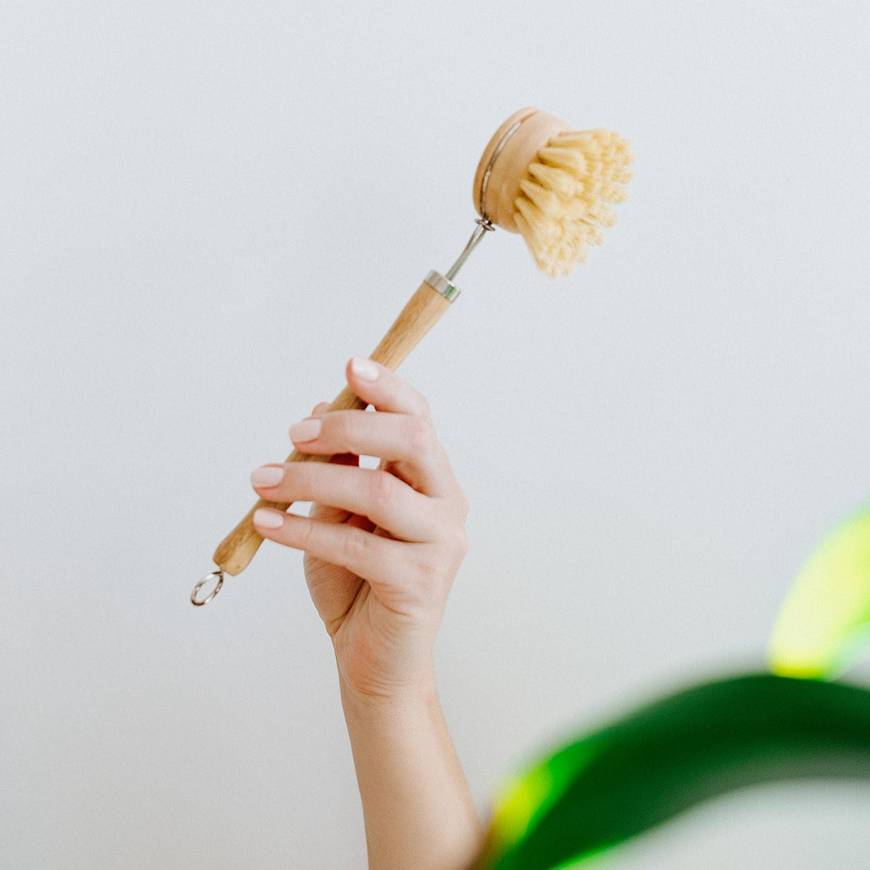 Long Handle Dish Brush Replacement Head