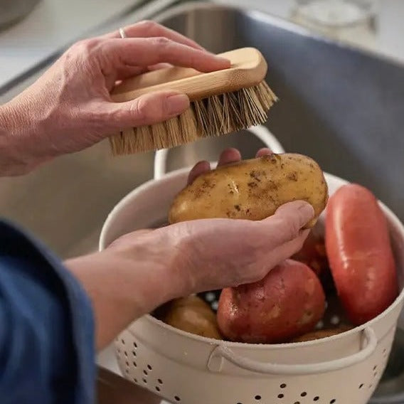 Multi-Purpose Veggie Brush